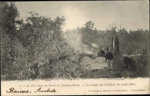 Ak Fontainebleau Seine et Marne, Le feu dans la Foret, La Chute du Clodion, 1904