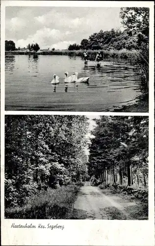 Ak Hartenholm Schleswig Holstein, Forst, See