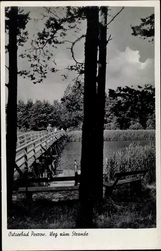 Ak Ostseebad Prerow auf dem Darß, Weg z. Strand