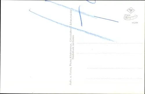 Ak Seebach in Baden Schwarzwald, Panorama, Forsthaus Schwarzenkopf