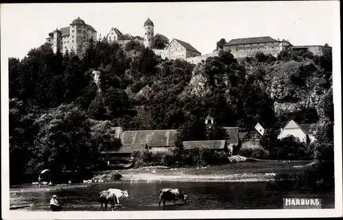 Foto Ak Harburg Schwaben, Blick auf Ort mit Häuser und Burg, Kühe