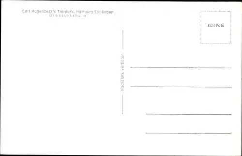 Ak Hamburg Eimsbüttel Stellingen, Carl Hagenbecks Tierpark, Dressurschule