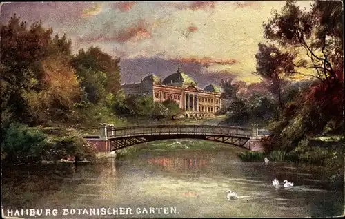 Ak Hamburg Mitte Altstadt, Botanischer Garten