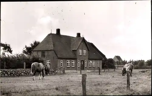 Ak Utersum Insel Föhr Nordfriesland, Ortsansicht, Bauernhof, Pferde