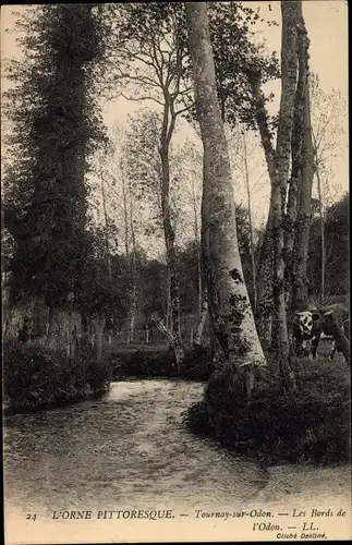 Ak Tournay sur Odon Calvados, Les Bords de l'Odon