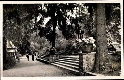 Ak Polczyn Zdrój Bad Polzin Pommern, Kurpark