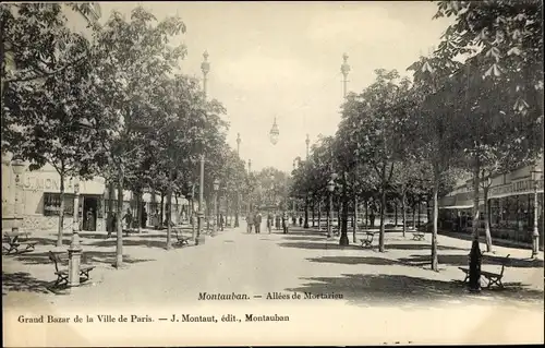 Ak Montauban Tarn et Garonne, Allee de Mortarieu