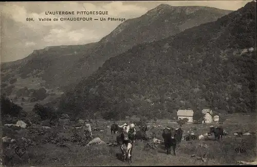 Ak Chaudefour Puy de Dôme, Un Paturage