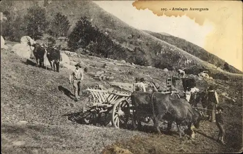 Ak Puy de Dôme, Attelages Auvergnats