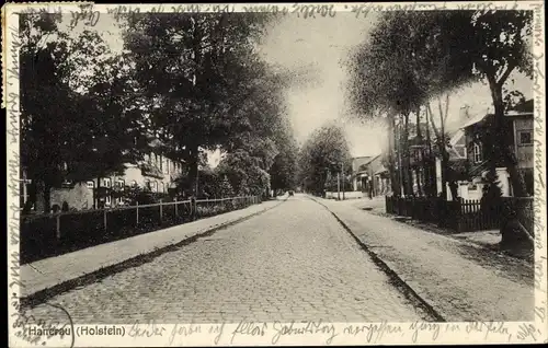 Ak Hanerau Hademarschen in Holstein, Straßenpartie