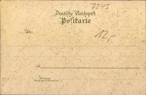 Litho Naunhof im Kreis Leipzig, Kirche, Ratskeller, Mühle, Totalansicht vom Ort