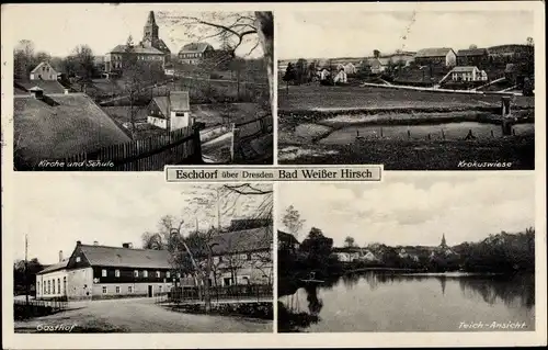 Ak Dresden Schönfeld Weißig Eschdorf, Kirche und Schule, Gasthof, Teichansicht, Krokuswiese