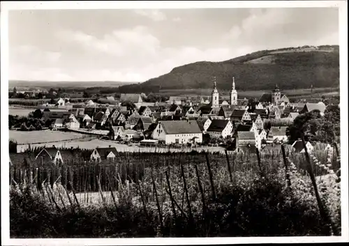 Ak Spalt in Mittelfranken, Gesamtansicht, Hopfen