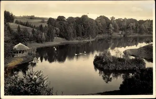 Foto Polczyn Zdrój Bad Polzin Pommern, Neuer See, Schwäne