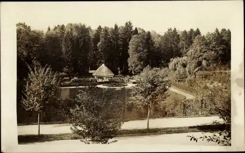 Foto Ak Polczyn Zdrój Bad Polzin Pommern, Seepartie, Bäume