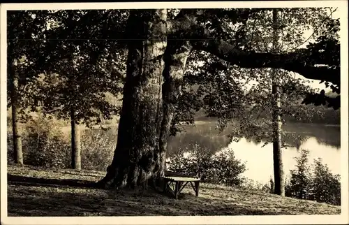 Foto Polczyn Zdrój Bad Polzin Pommern, Illiger Buche, Fünfsee