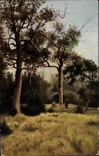 Künstler Ak Doubovskoi, Des Chenes, Landschaft, Bäume