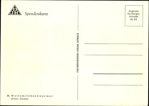 Ak Wolfsmilchschwärmer, Nachtfalter, Schmetterling, DJH Spendenkarte