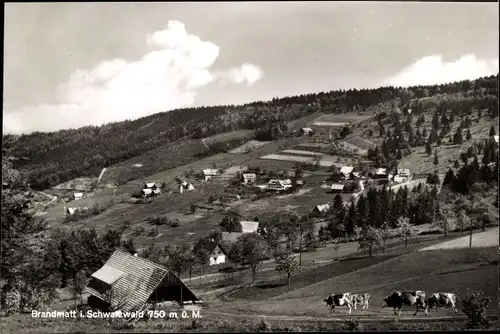 Ak Brandmatt Sasbachwalden im Schwarzwald, Panorama