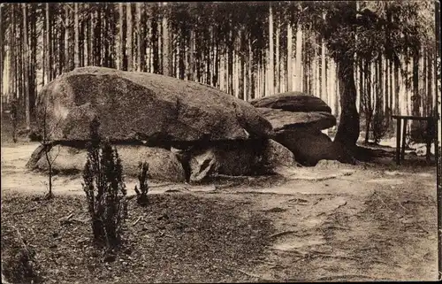 Ak Bad Fallingbostel Lüneburger Heide, Sieben Steinhäuser, Waldwirtschaft