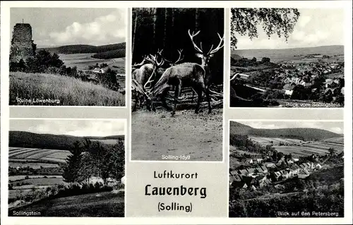 Ak Lauenberg Dassel in Niedersachsen, Blick v. Sollingstein, Hirsche, Ruine Löwenburg, Petersberg