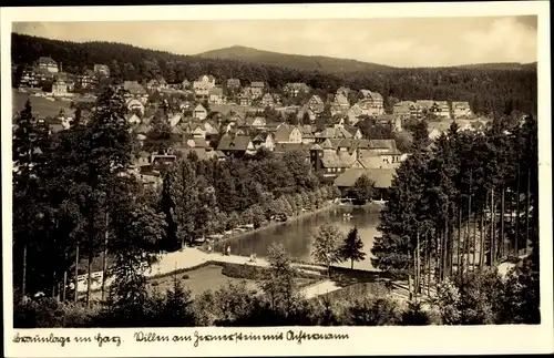 Ak Braunlage im Oberharz, Gesamtansicht, Villen, Achtermann