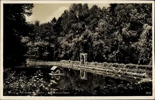 Ak Polczyn Zdrój Bad Polzin Pommern, Karpfenteich