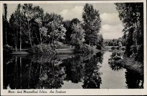 Ak Polczyn Zdrój Bad Polzin Pommern, Brodesee