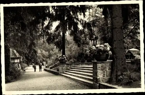 Ak Polczyn Zdrój Bad Polzin Pommern, Kurpark