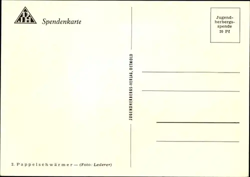 Ak Pappelschwärmer, Nachtfalter, Schmetterling, DJH Spendenkarte