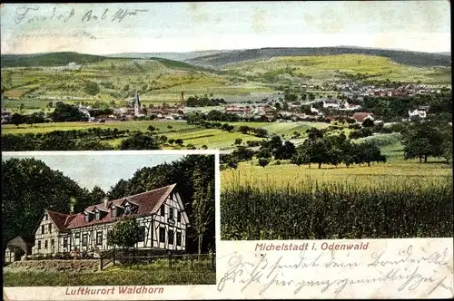 Ak Michelstadt im Odenwald, Luftkurort Waldhorn, Blick auf den Ort