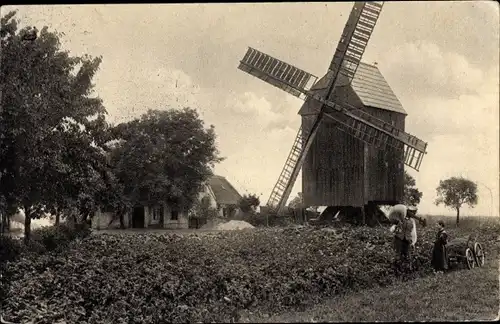 Ak Draschwitz Grimma in Sachsen, Partie an der Bockwindmühle