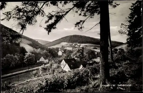 Ak Hagen in Westfalen, Blick ins Selbecketal