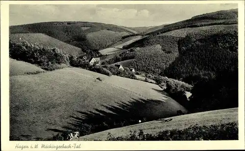 Ak Hagen in Westfalen, Mäckingerbach Tal