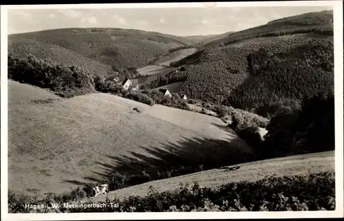 Ak Hagen in Westfalen, Mäckingerbach Tal