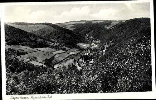 Ak Haspe Hagen Westfalen, Hasperbach Tal
