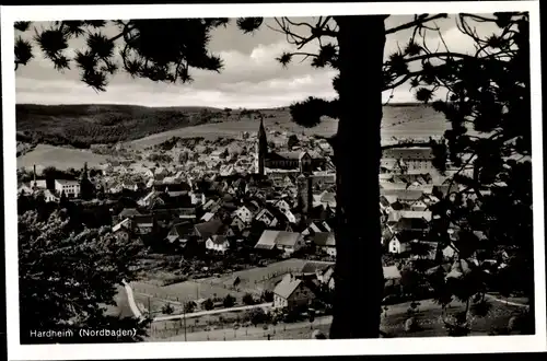 Ak Hardheim im Odenwald, Panorama