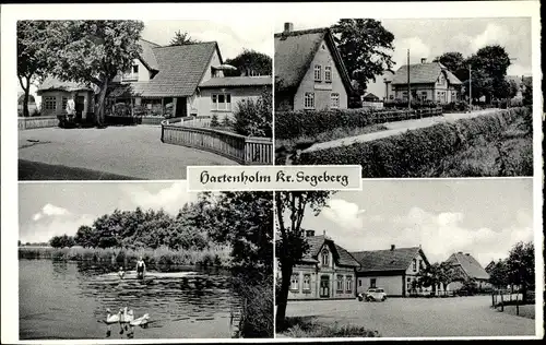 Ak Hartenholm Schleswig Holstein, Detailansichten