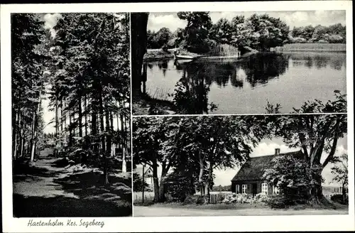 Ak Hartenholm Schleswig Holstein, Waldpartie, Seeblick, Haus