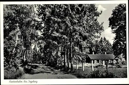Ak Hartenholm Schleswig Holstein, Waldpartie, Haus