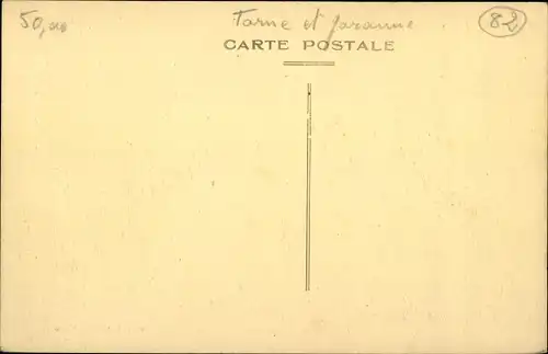 Ak Moissac Tarn et Garonne, Promenade du Moulin, Inondations du Midi 1930
