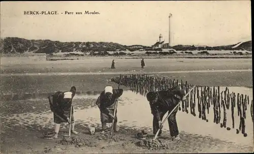 Ak Berck Plage Pas de Calais, Parc aux Moules