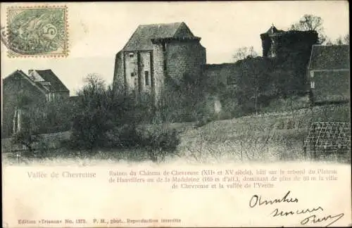 Ak Chevreuse Yvelines, Ruines du Chateau