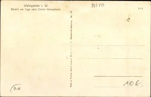 Ak Weingarten in Württemberg, Blutritt am Tage nach Christi Himmelfahrt, Prozession