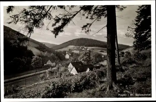 Ak Hagen in Westfalen, Blick ins Selbecketal