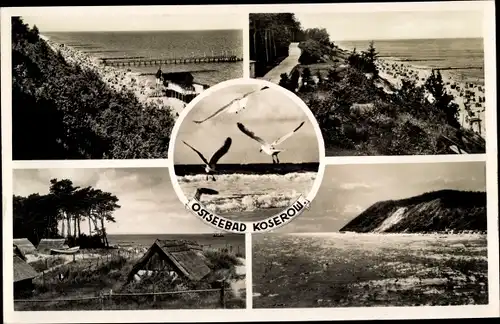 Ak Ostseebad Koserow auf Usedom, Strandpartie, Möwen