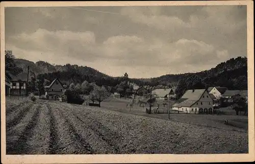 Ak Jonsdorf in Sachsen, Schalkstein, Teilansicht