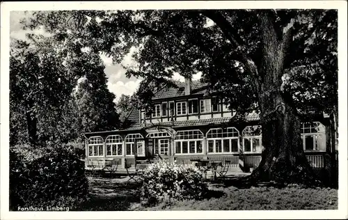 Ak Börninghausen Preußisch Oldendorf NRW, Blick zum Forsthaus Limberg