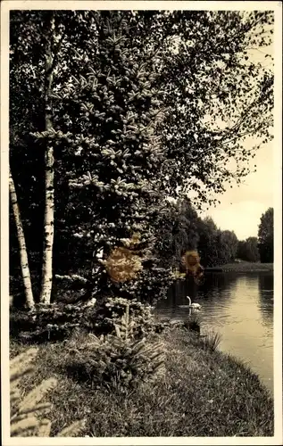 Foto Polczyn Zdrój Bad Polzin Pommern, Brodesee