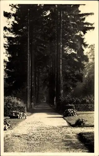 Foto Polczyn Zdrój Bad Polzin Pommern, Gartenanlagen